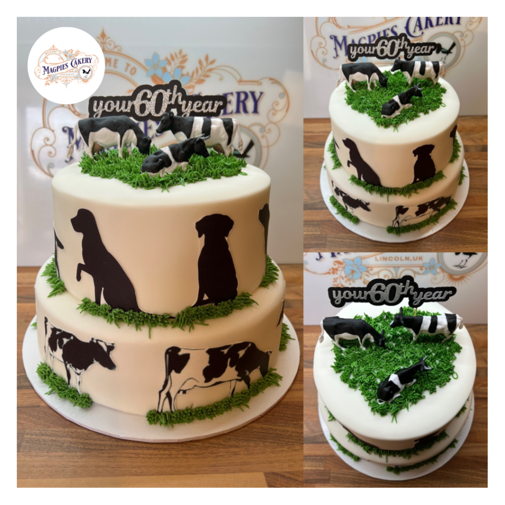 60th birthday two tier cake with black labradors and cows, Magpies Cakery, cake maker & decorator, Lincoln & Newark