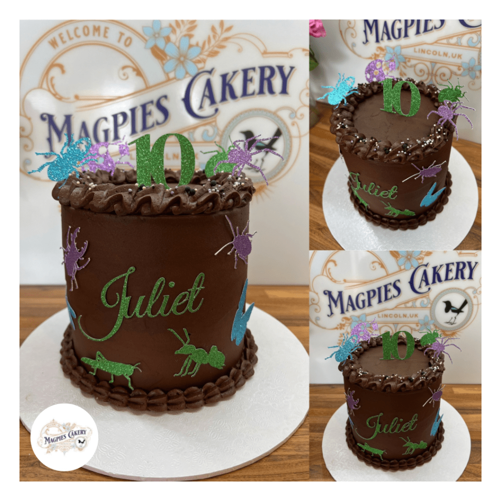 Bug & insect inspired buttercream birthday cake, Magpies Cakery, cake maker & decorator, Lincoln & Newark
